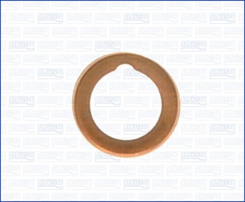 Seal ring oil - oil, plug